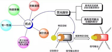 第十二届“挑战杯”大学生课外学术科技作品竞赛优秀作品展示（四） 环境科技领域的技术开发